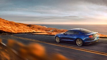 New Ford Mustang V8 GT